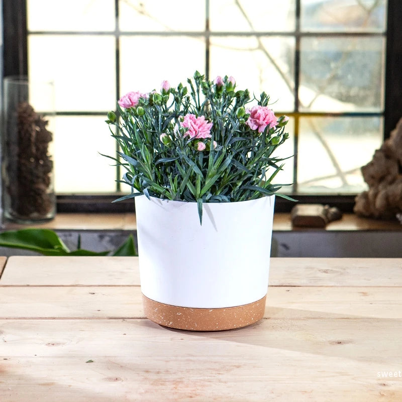 Large Flowerpot Plastic Indoor with Drainage