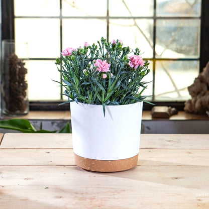 Large Flowerpot Plastic Indoor with Drainage