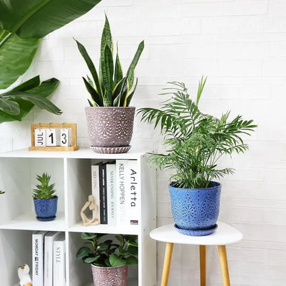 8 Inch Ceramic Plant Pot with Drainage Holes