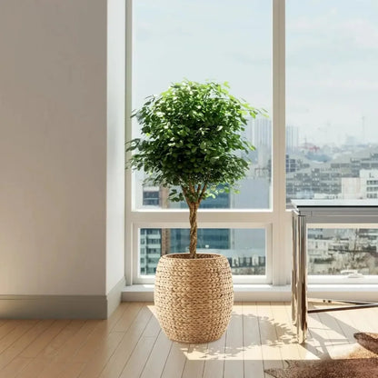 Round Storage Basket with Lid