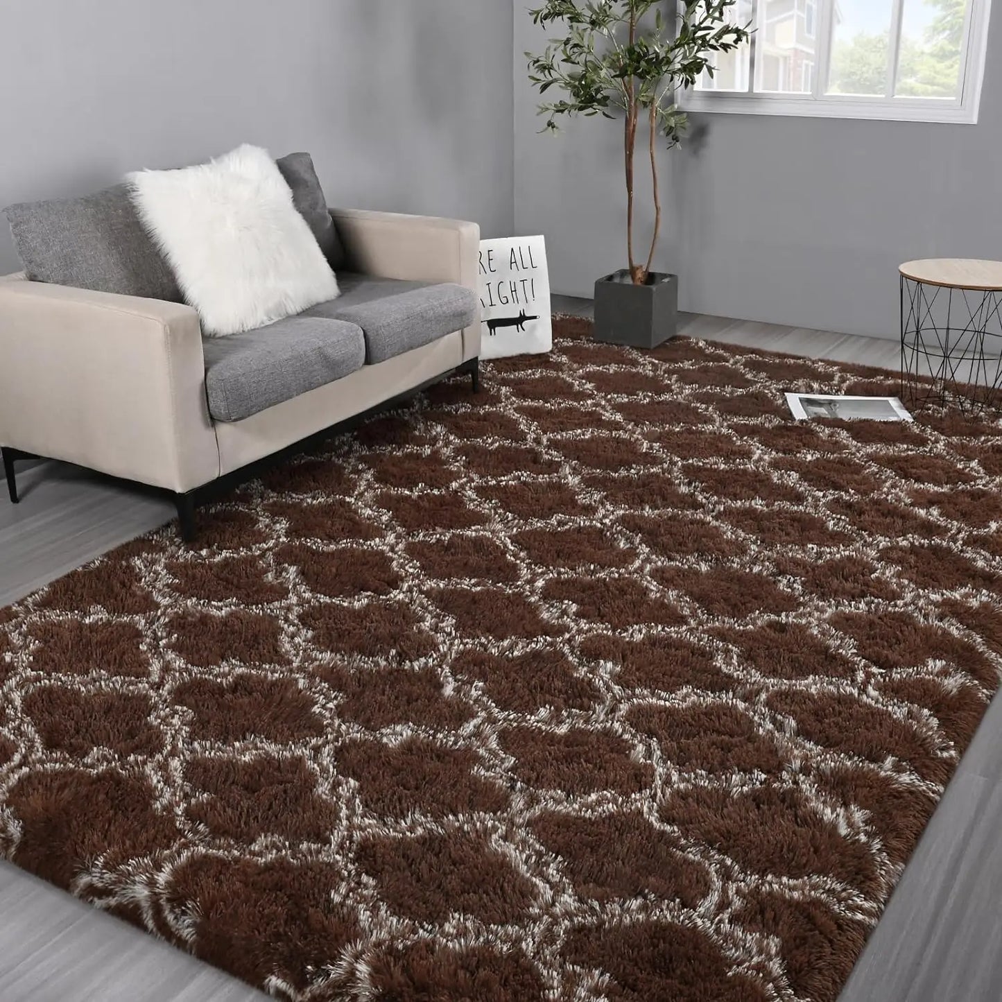 Shag Area Rugs Non-Slip